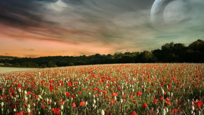 胸大的女孩子有什么烦恼?